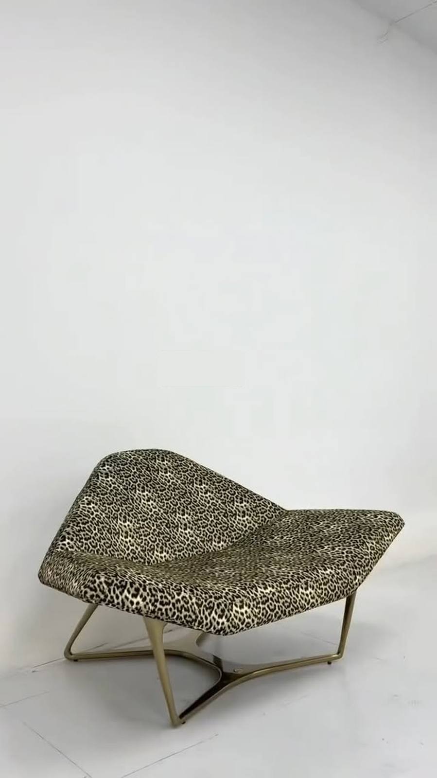 Wild, bold & elevated.